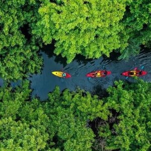 Supplier photograph for Afternoon Guided Kayak Activity on the Tamarin River
