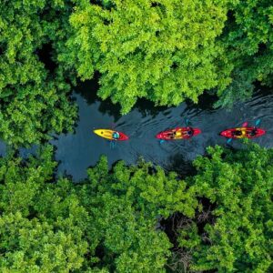 Supplier photograph for Afternoon Guided Kayak Tour on the Tamarin River