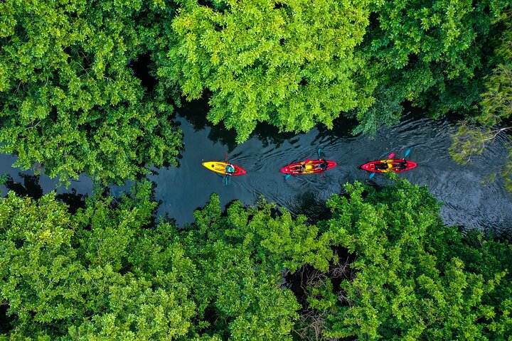Supplier photograph for Afternoon Guided Kayak Tour on the Tamarin River