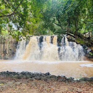 Supplier photograph for All Inclusive Full Day Tour: Chamarel Rhumrie,7-Coloured & Lunch