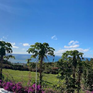 Apartment in Montagne Charlot with Stunning View of the Lagoon in Port Mathurin, Mauritius