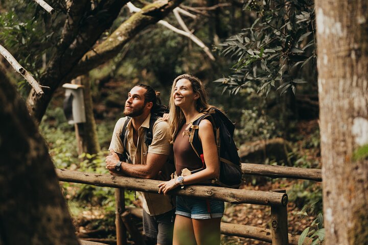 Supplier photograph for Bel Ombre Two Waterfalls Walking Trail