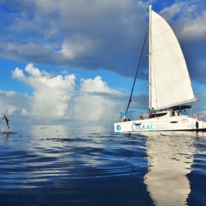 Supplier photograph for Black River: Full day Private catamaran to Benitiers island