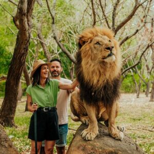 Supplier photograph for Casela - Walk With Lions