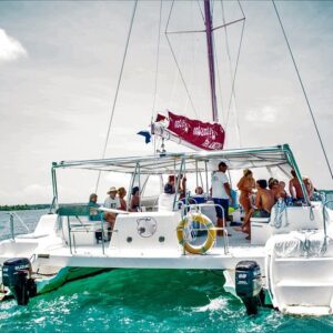 Supplier photograph for Catamaran Ile aux Cerfs, snorkeling + GRSE Waterfall, BBQ & Bar