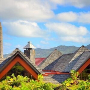 Supplier photograph for Chamarel Seven Coloured Earth & Mauritius Discovery Private Tour
