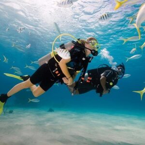 Supplier photograph for Discover Scuba Diving Experience