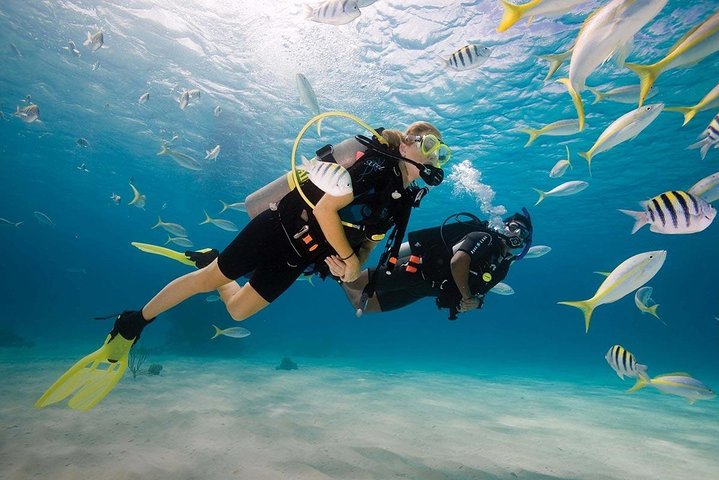 Supplier photograph for Discover Scuba Diving Experience