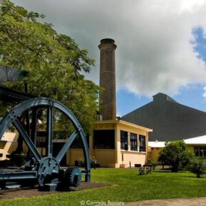 Supplier photograph for Discovery of Sugar World, North of Mauritius