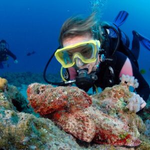 Supplier photograph for Diving and Sea Diving Baptism