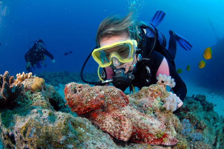 Supplier photograph for Diving and Sea Diving Baptism