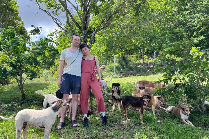 Supplier photograph for Dog Lover's guided tour of the Happy Tails Sanctuary