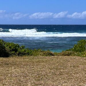 Eastern Blue Beachfront Apartment Poste Lafayette in Poste Lafayette & Roches Noires, Mauritius