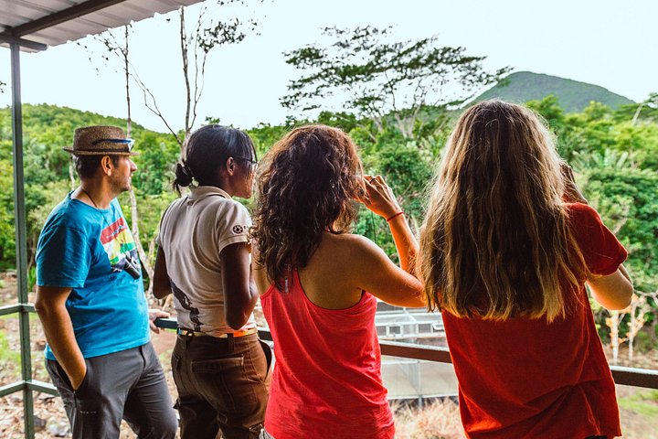 Supplier photograph for Ebony Forest Reserve Chamarel: Endemic Birdwatching Guided Tour