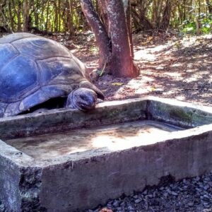 Supplier photograph for Eco Tour: Nature Reserve, Blue Bay, La Vanille Reserve, Gris Gris