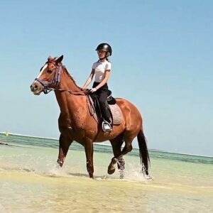 Supplier photograph for Exclusive 1 Hour Coastal Horse Ride at Bel Ombre Beach
