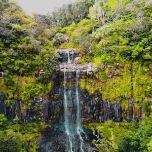 Supplier photograph for Exotic South – Jeep Safari to Ebony Forest & Seven Colored Earth
