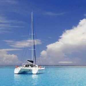 Supplier photograph for Full-Day Northern Catamaran Cruise: Coin de Mire and Ile Plate Island