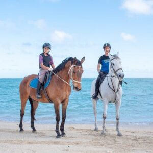 Supplier photograph for Full Day Tour: Beach Horseback Riding & Explore the Southwest