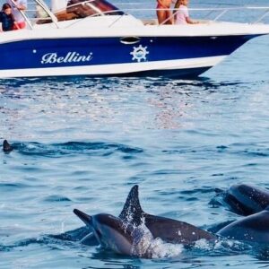 Supplier photograph for Fully Day Tour: Dolphin Encounters, Crystal Rock at Benitiers Island