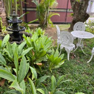 Gardenia Apartments Pereybere in Pereybère, Mauritius