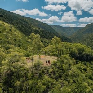 Supplier photograph for Hiking in the Black River Gorges National Parc - Native Forest