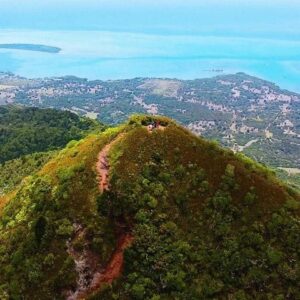 Supplier photograph for Hiking Piton De la Petite Riviere Noire Journey to the forest