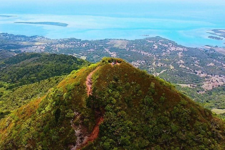 Supplier photograph for Hiking Piton De la Petite Riviere Noire Journey to the forest