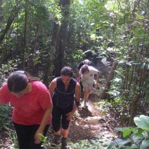 Supplier photograph for Hiking Trip – Black River Gorges Park