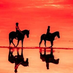 Supplier photograph for Horse Riding Adventures in Mauritius