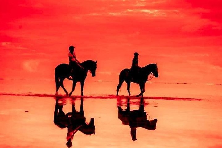 Supplier photograph for Horse Riding Adventures in Mauritius