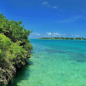 Supplier photograph for Ile aux Aigrettes Nature Reserve, Blue Bay Beach, La Vanille Park & Gris Gris