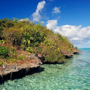 Supplier photograph for Ile aux Aigrettes - Tea Route - Gris Gris Private Guided Tour (Min. 2 persons)
