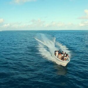 Supplier photograph for Ile aux Cerf: Speed boat with Parasailing & Tube Riding and Lunch