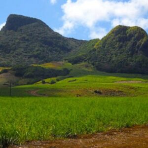Supplier photograph for Lion Mountain Peak Hike Stunning Coastal Views