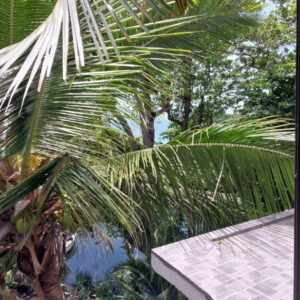 Luxury Waterfront Apartment Trou D Eau Douce in Trou d'Eau Douce, Mauritius
