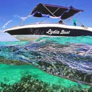Supplier photograph for Lydia Boat Mauritius: Le Morne :Eco-Friendly Whales&Dolphins Tour