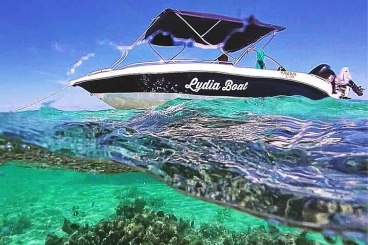 Supplier photograph for Lydia Boat Mauritius: Le Morne :Eco-Friendly Whales&Dolphins Tour