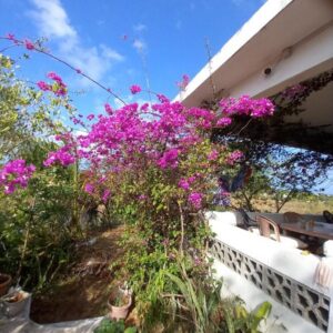 Maison de Vacances Grand Gaube 1 in Cap Malheureux & Grand Gaube, Mauritius