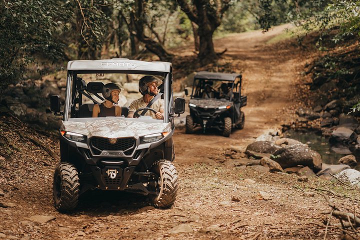 Supplier photograph for Mauritius: 2 Hours Buggy Ride - Bel Ombre Nature Reserve