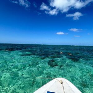 Supplier photograph for Mauritius: 5 Islands Speedboat Tour with BBQ and Snorkeling
