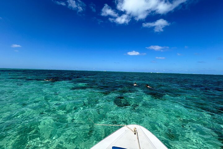 Supplier photograph for Mauritius: 5 Islands Speedboat Tour with BBQ and Snorkeling