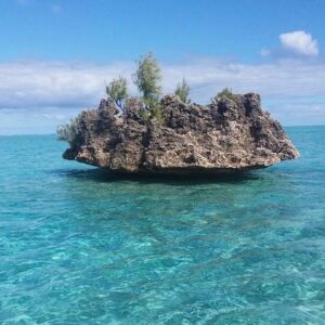 Supplier photograph for Mauritius : Dolphins Swim and Ile Aux Bénitiers with BBQ