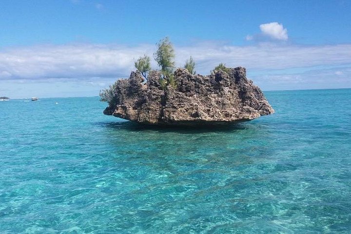Supplier photograph for Mauritius : Dolphins Swim and Ile Aux Bénitiers with BBQ