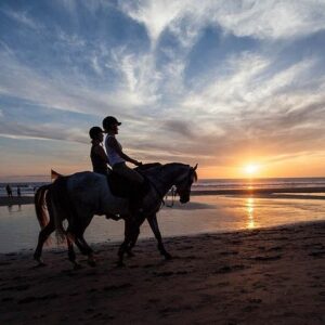 Supplier photograph for Mauritius Horse Riding at Riambel