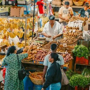 Supplier photograph for Mauritius Private North Tour: Port Louis, Garden & Grand Baie