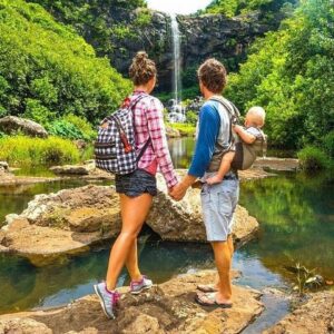 Supplier photograph for Mauritius Waterfalls with Lunch at a Scenic Waterfall