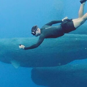 Supplier photograph for Mauritius Whales and Dolphin Watching Expedition