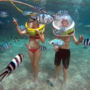 Supplier photograph for Mesmerizing Ile aux Cerf: Speed Boat, GRSE, Lunch & Undersea walk (Full Day)