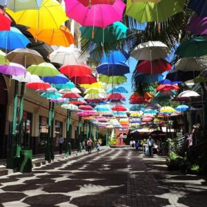 Supplier photograph for Port Louis and Pamplemousses Garden - A full day trip